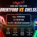 Nhận định soi kèo trận đấu tâm điểm Brentford vs Chelsea vòng 5 Ngoại hạng Anh trên Xoilac TV.